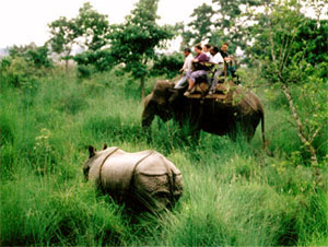 Nepal Jungle Safari